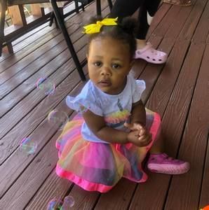 Meet your Posher, Terra